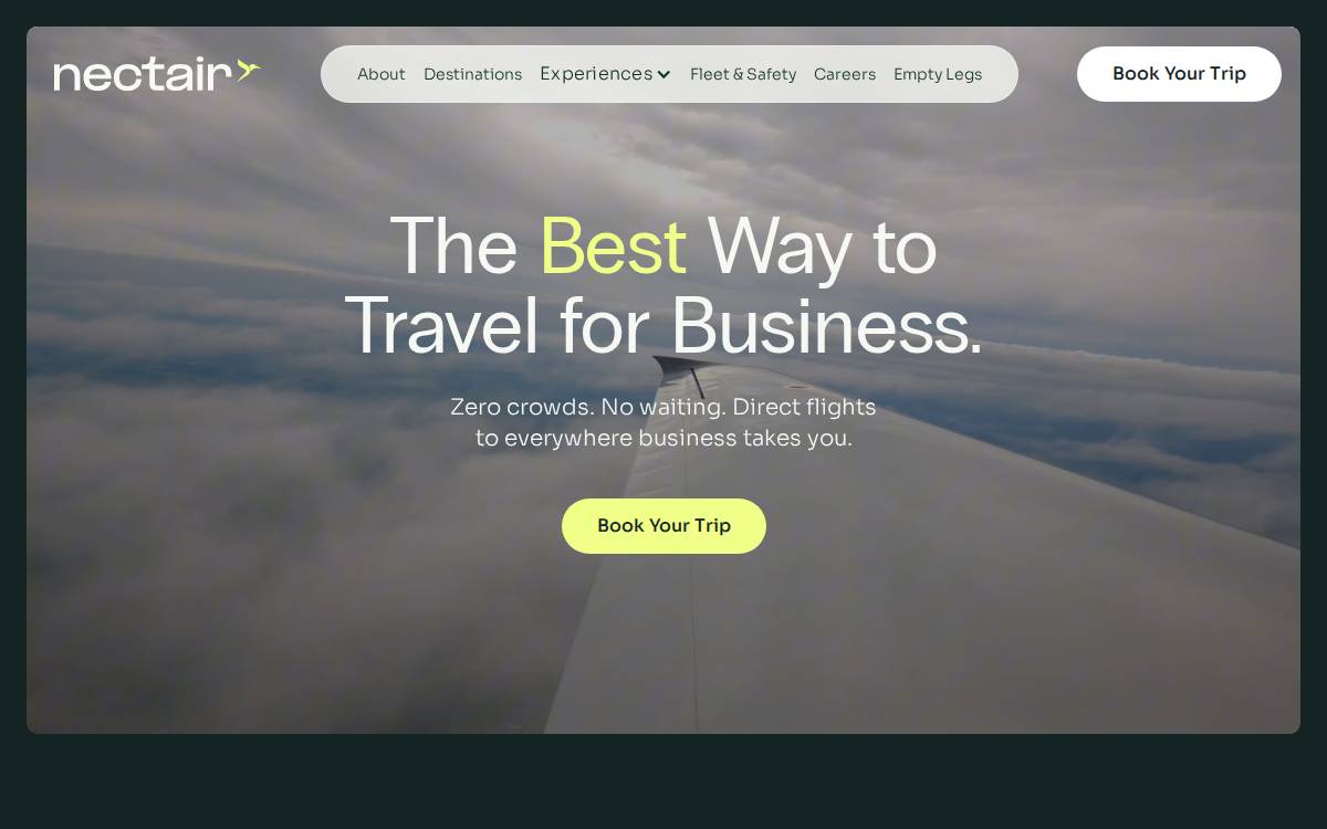 Flynectair website preview