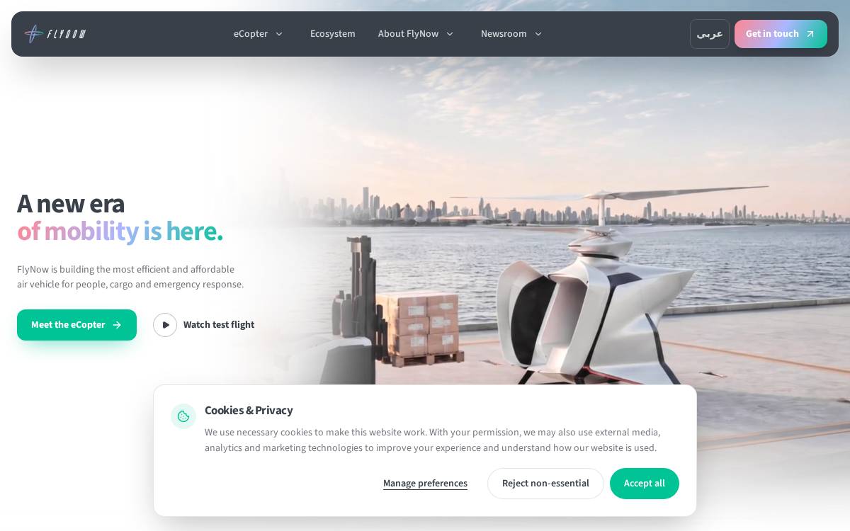Flynow Aviation website preview