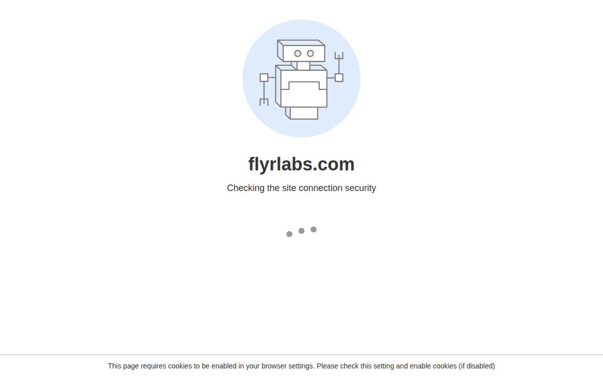 Flyr website preview