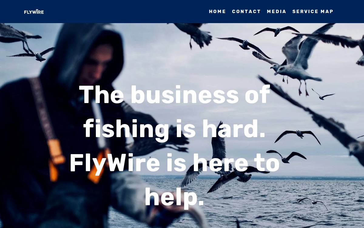 FlyWire website preview
