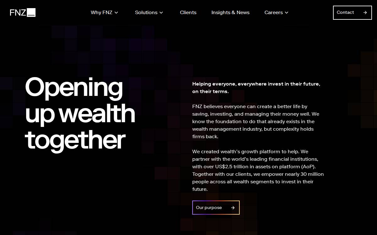FNZ website preview