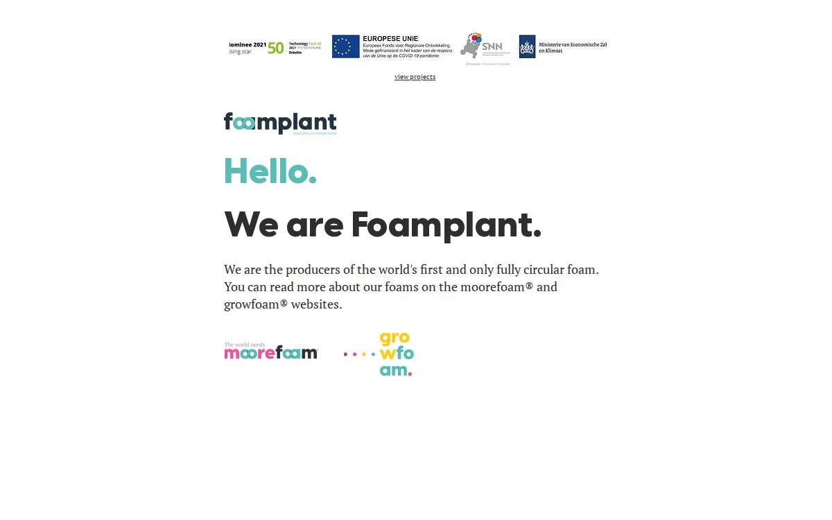 Foamplant website preview