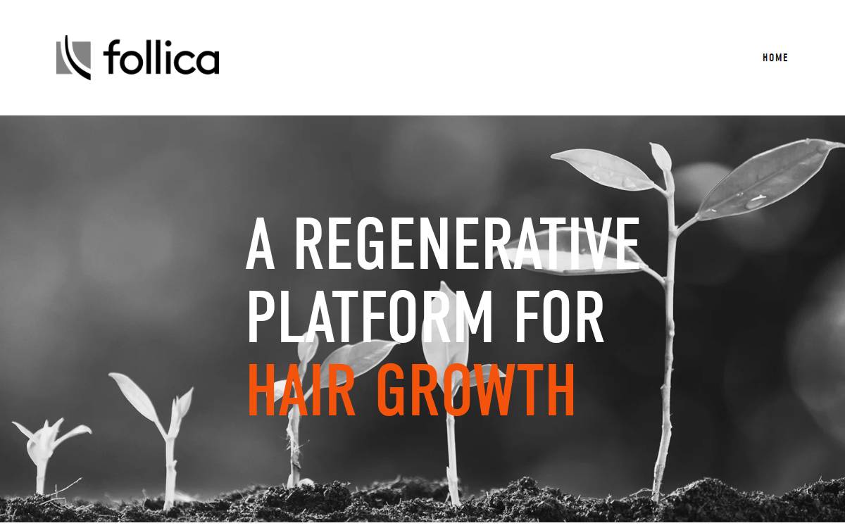 Follica website preview