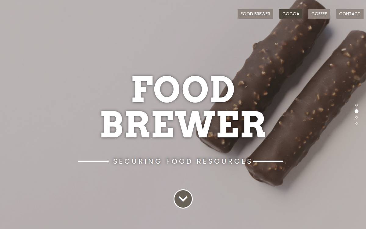 Food Brewer AG website preview