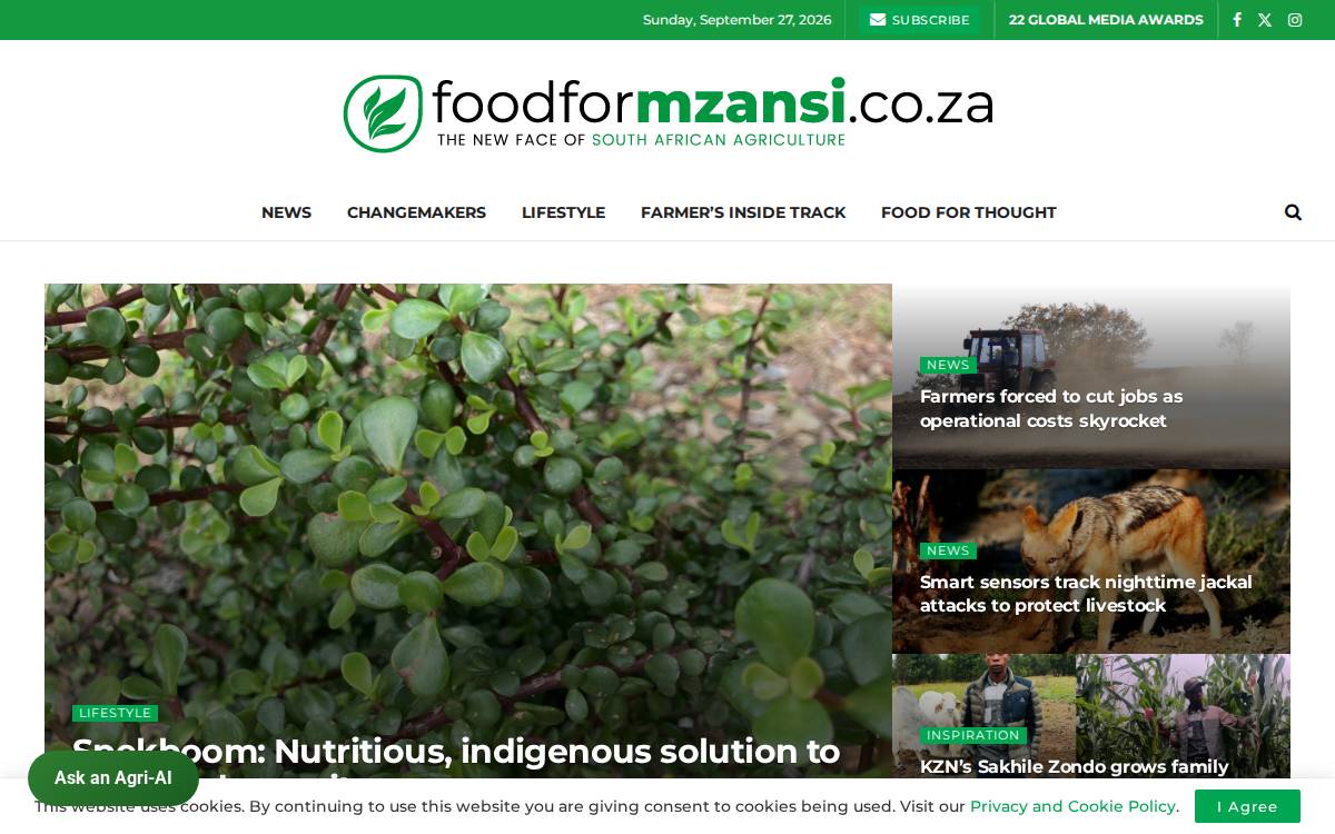 Food for Mzansi website preview