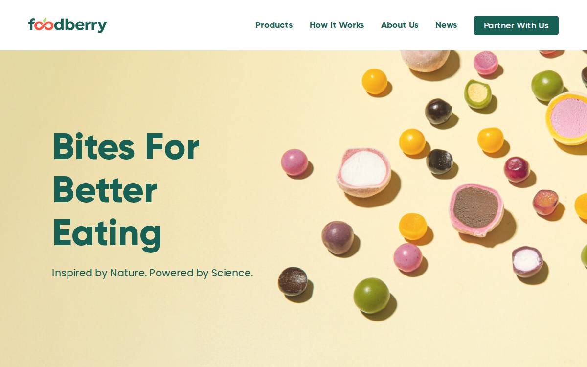 Foodberry website preview