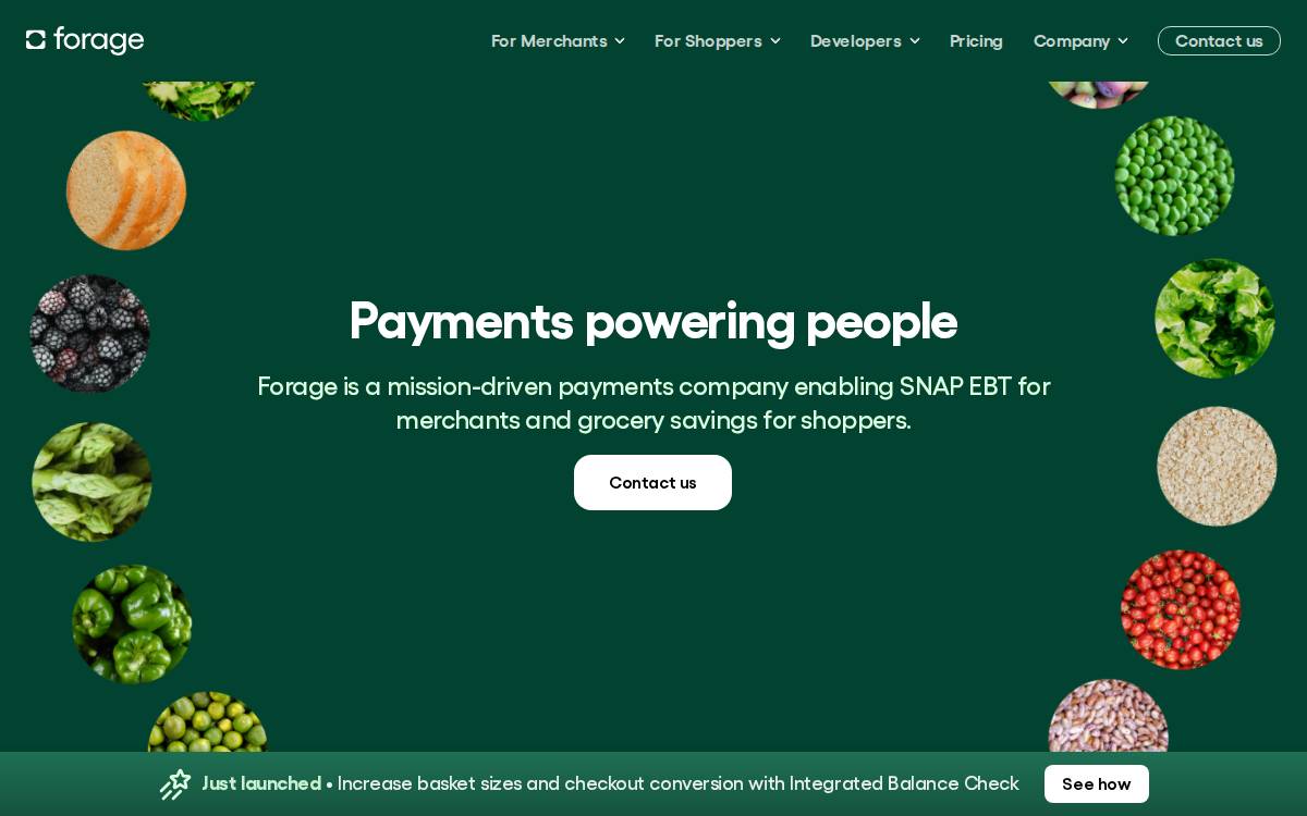 Forage website preview