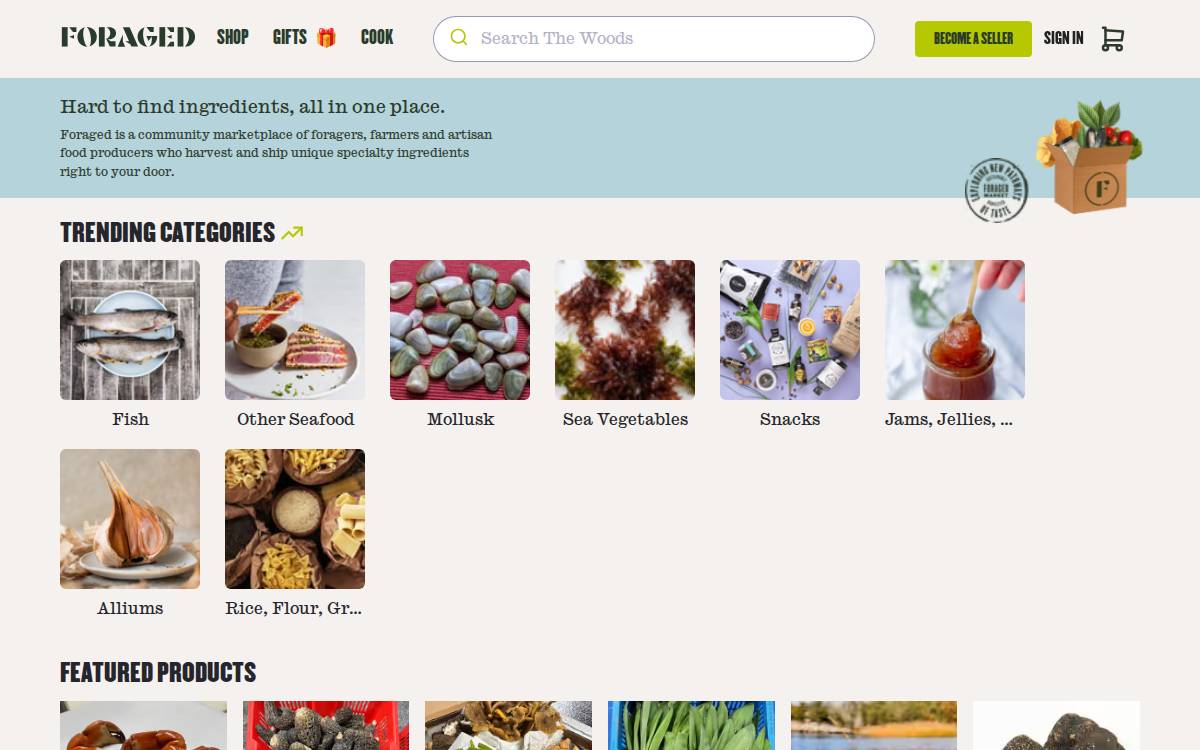 Foraged website preview