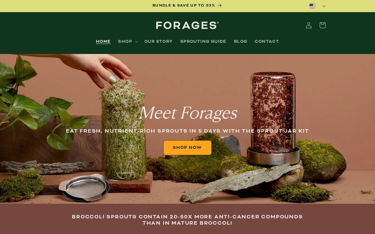 Forages Home Inc. Website website preview