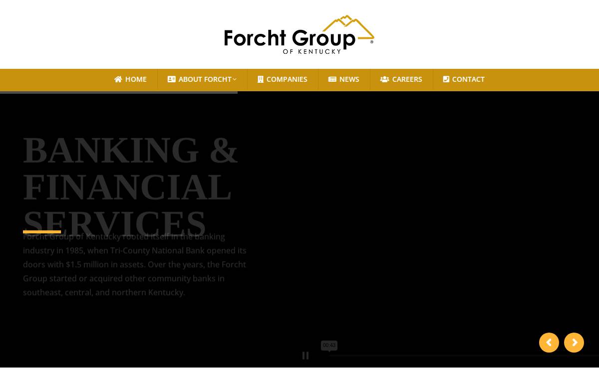 Forcht Group of Kentucky website preview