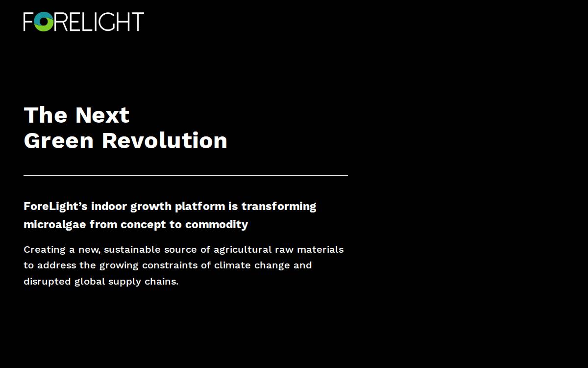 ForeLight website preview