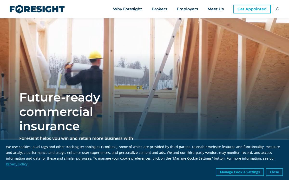 Foresight website preview