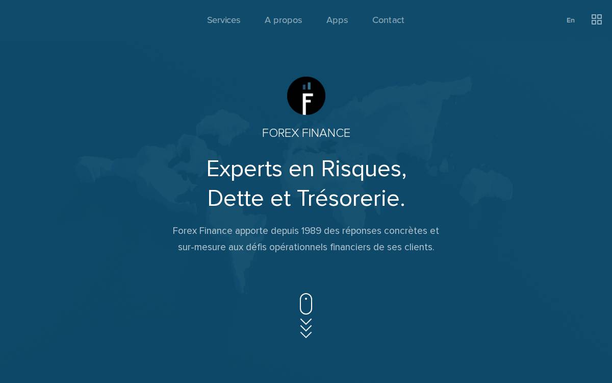 Forex Finance website preview