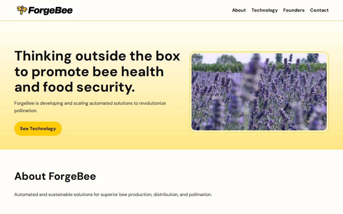 Forgebee website preview