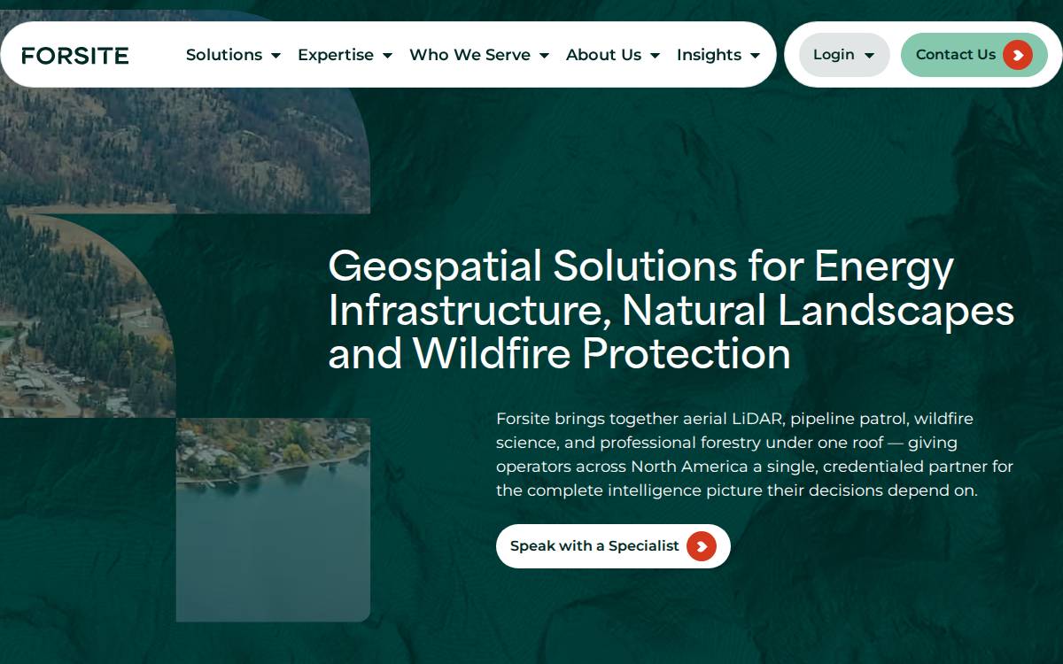 Forsite Consultants Ltd. website preview