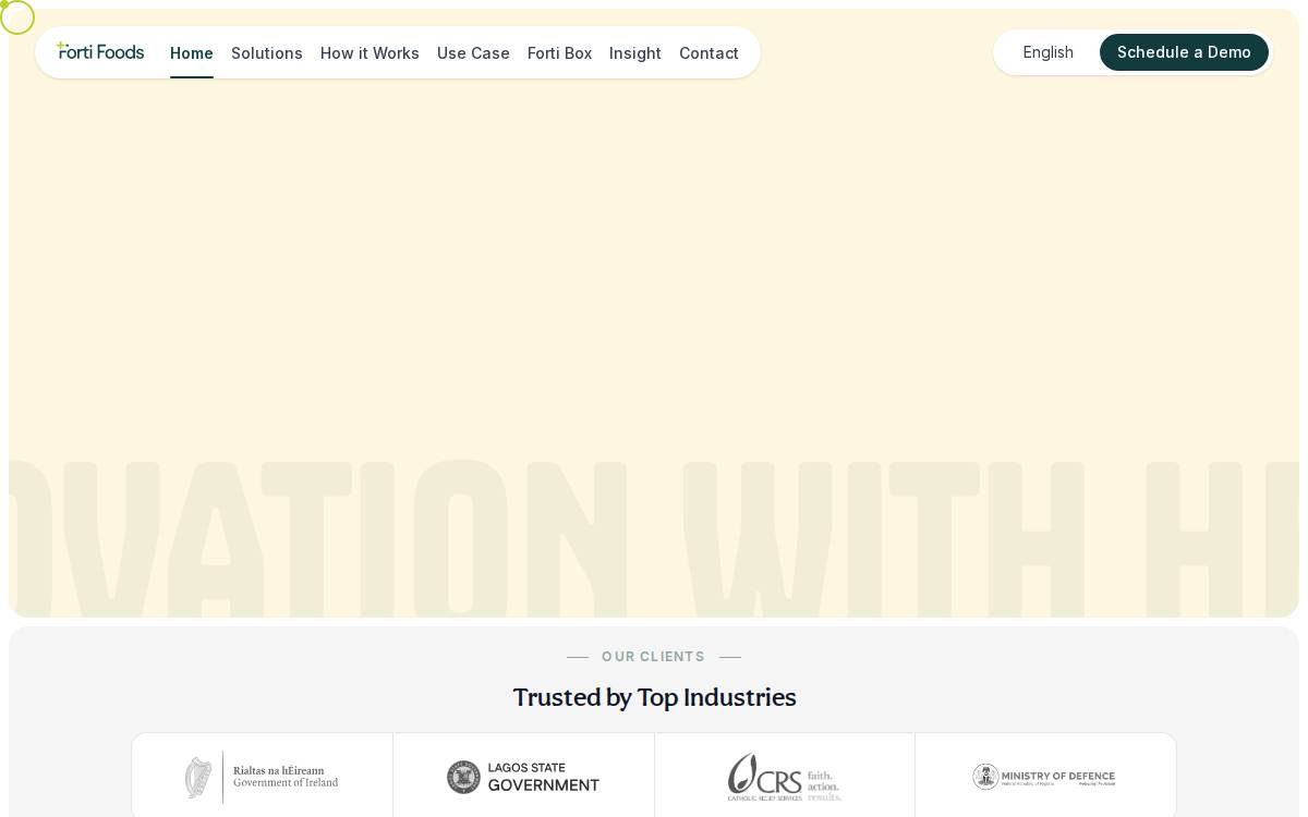 Forti website preview