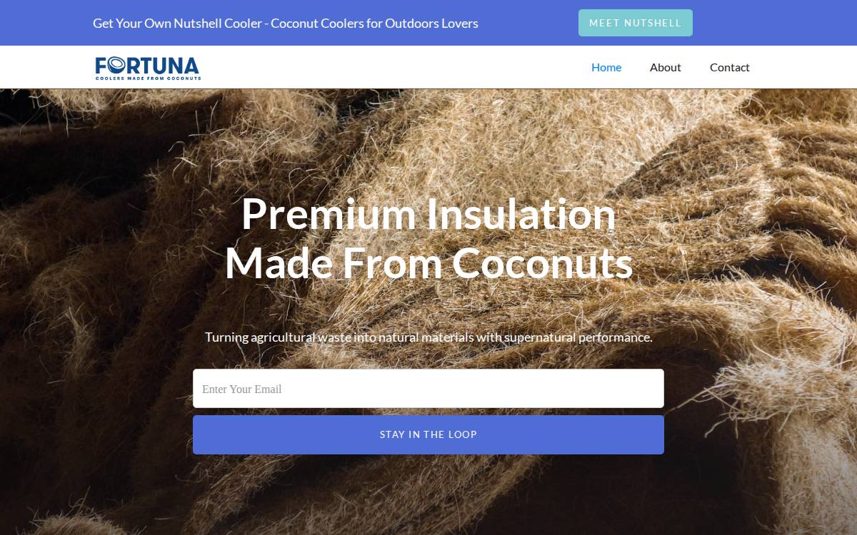 Fortuna Cools website preview