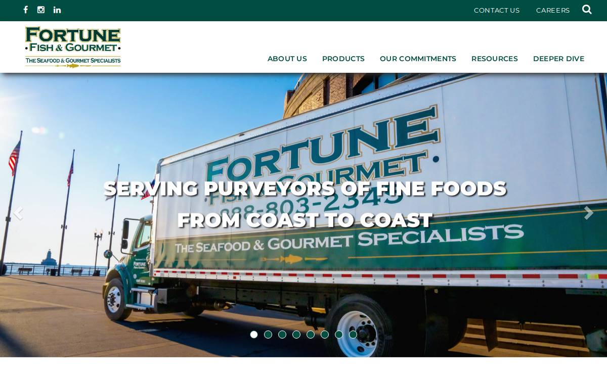 Fortune International website preview