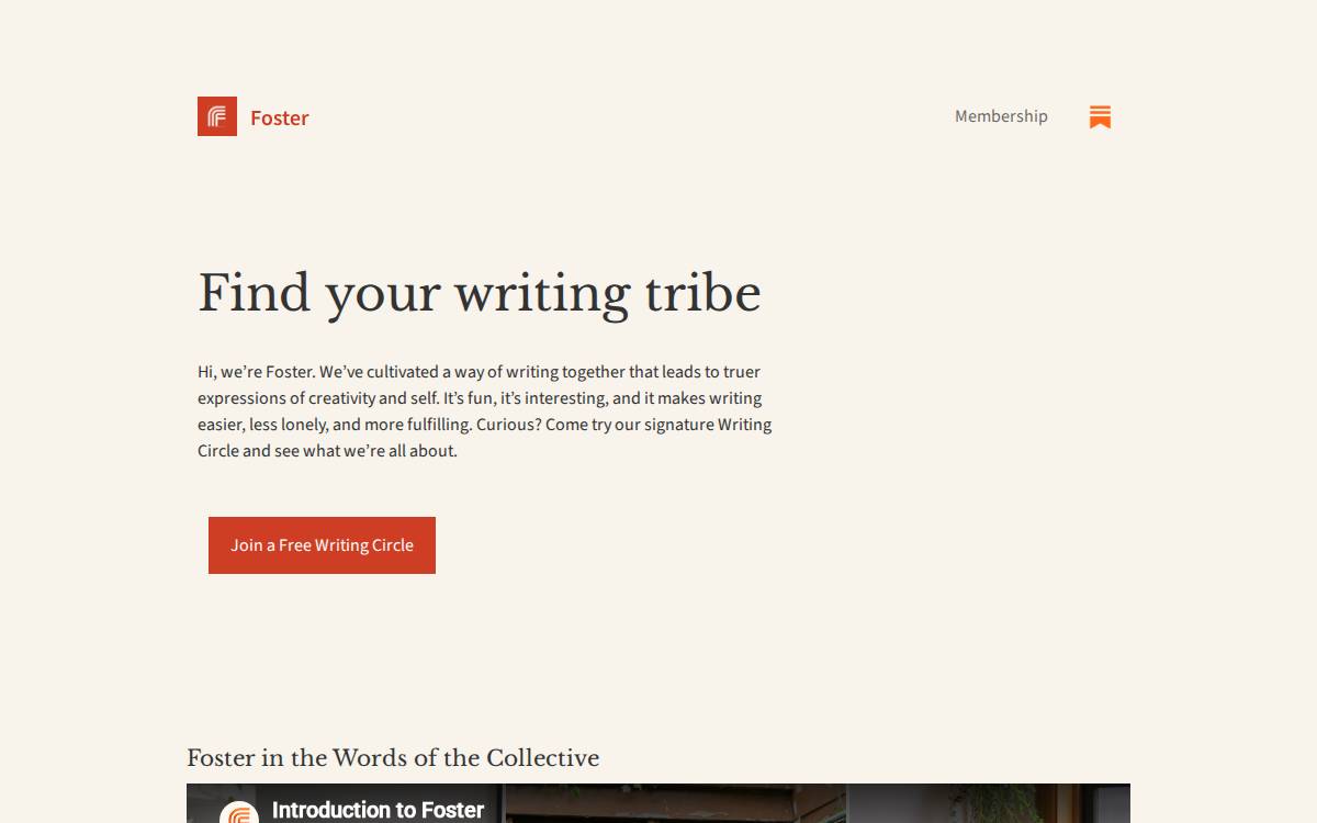Foster website preview
