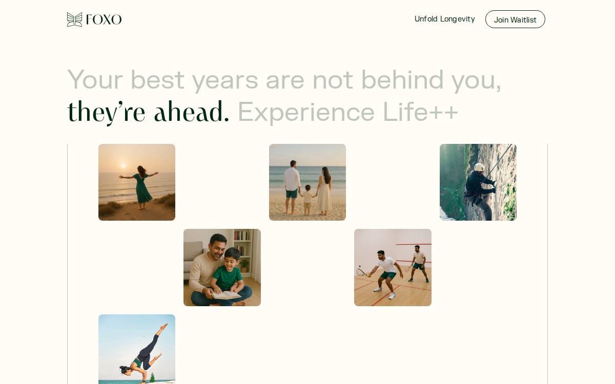 Foxo website preview