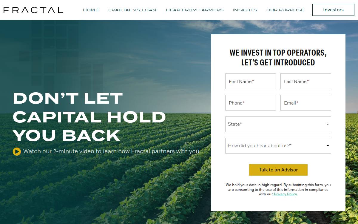 Fractal website preview