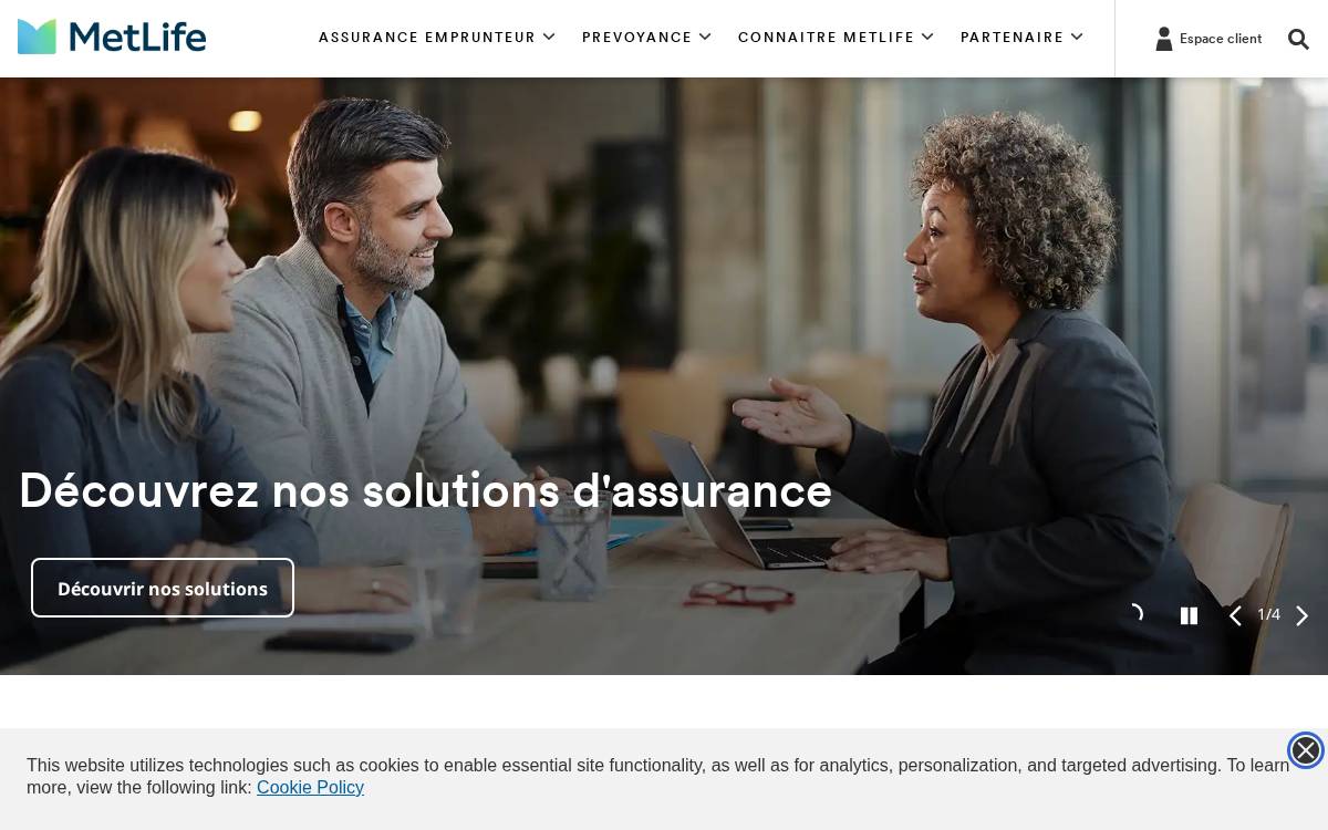 France website preview