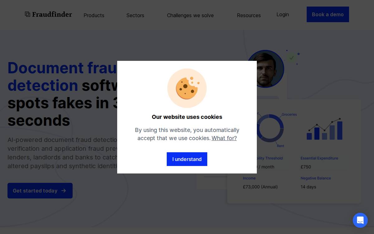 Fraudfinder website preview