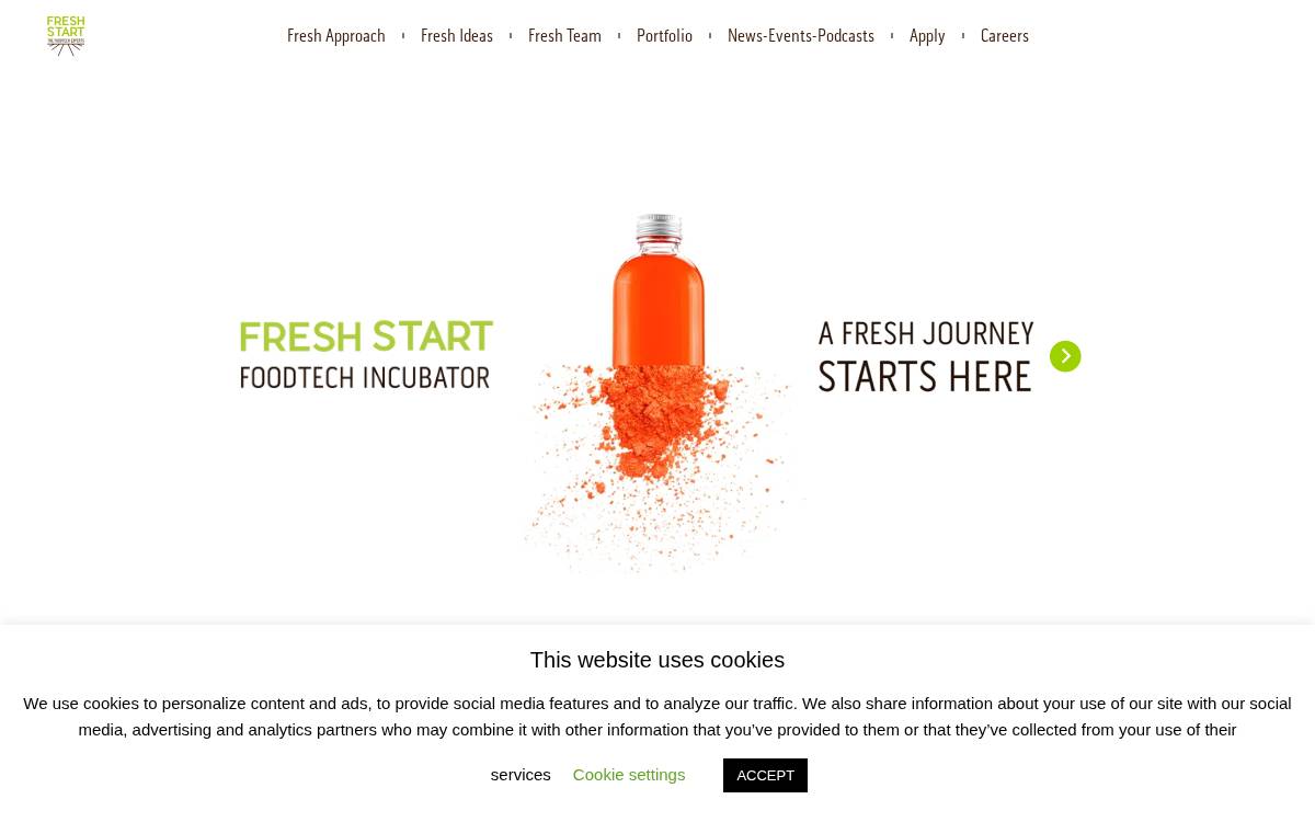 Fresh Start website preview