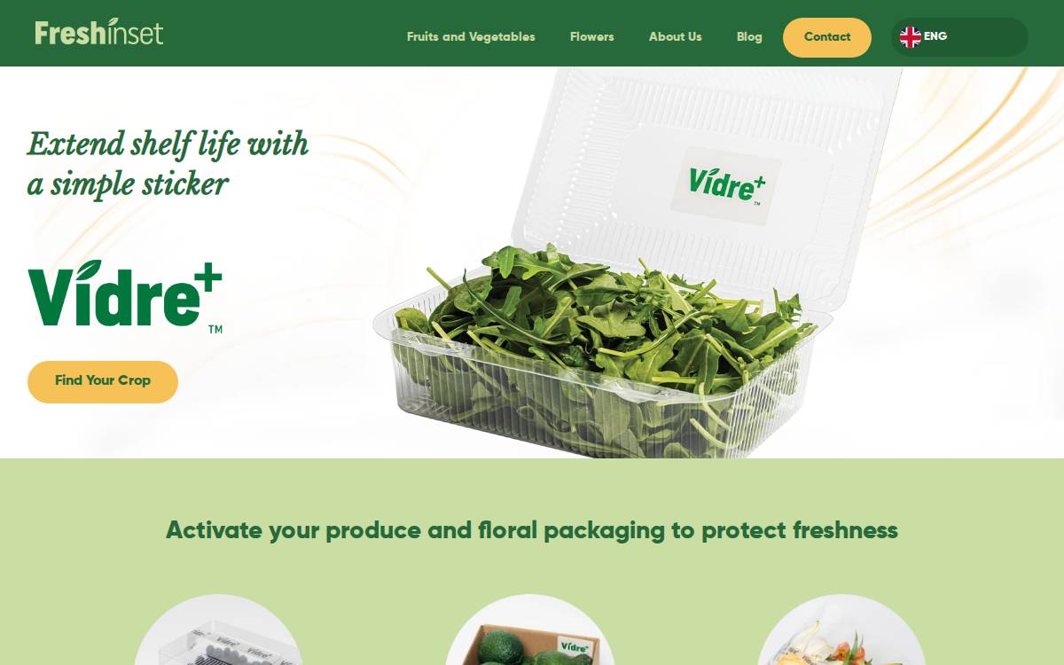 Freshinset website preview