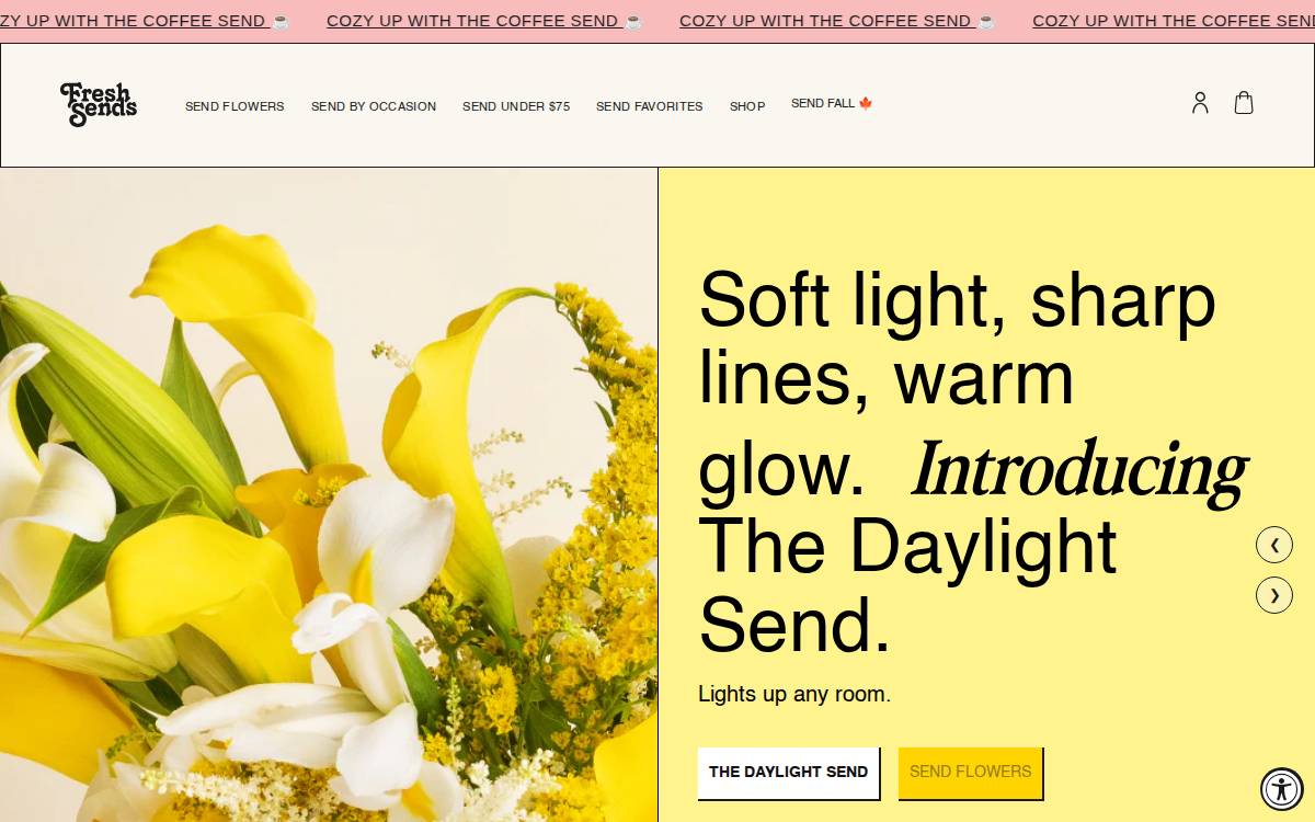 Freshsends website preview