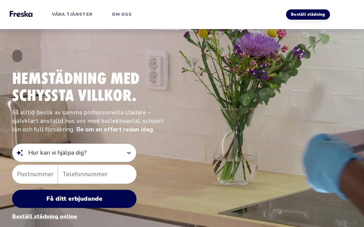 Freska website preview