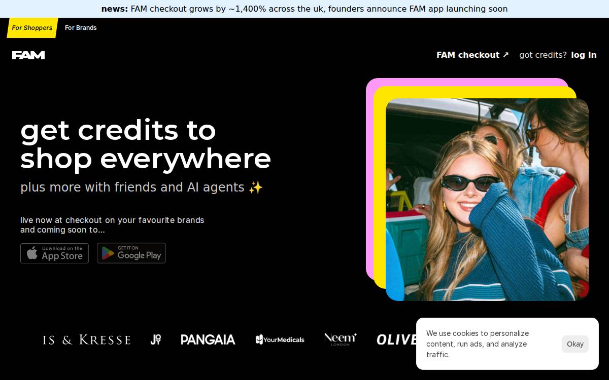 Frictionless Technologies Ltd website preview