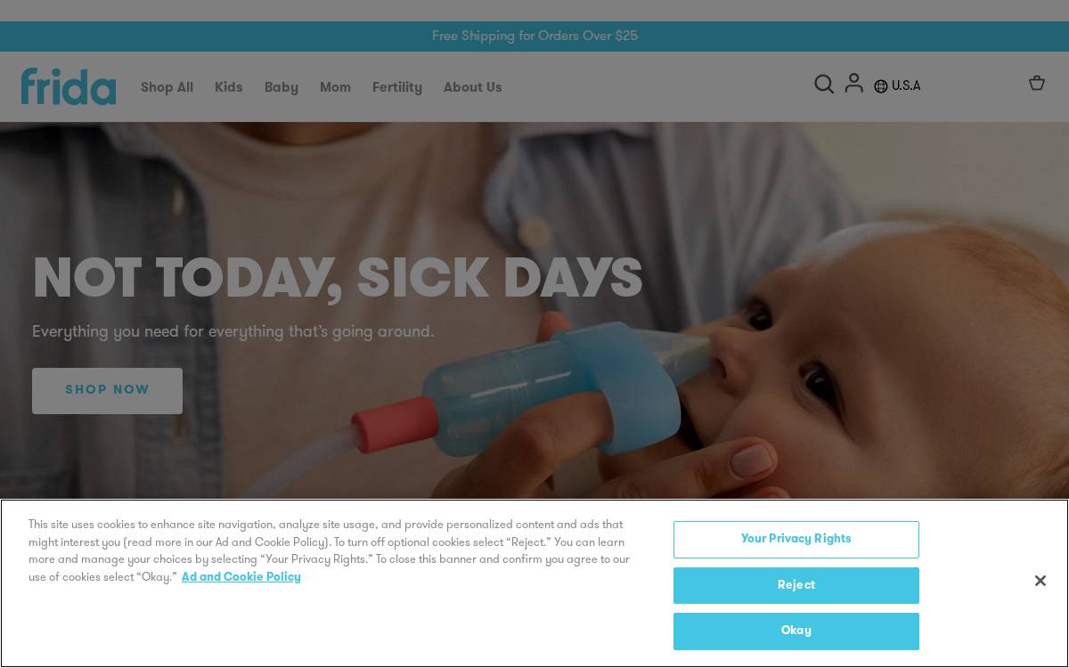 Frida website preview