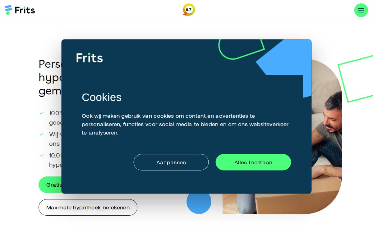 Frits website preview