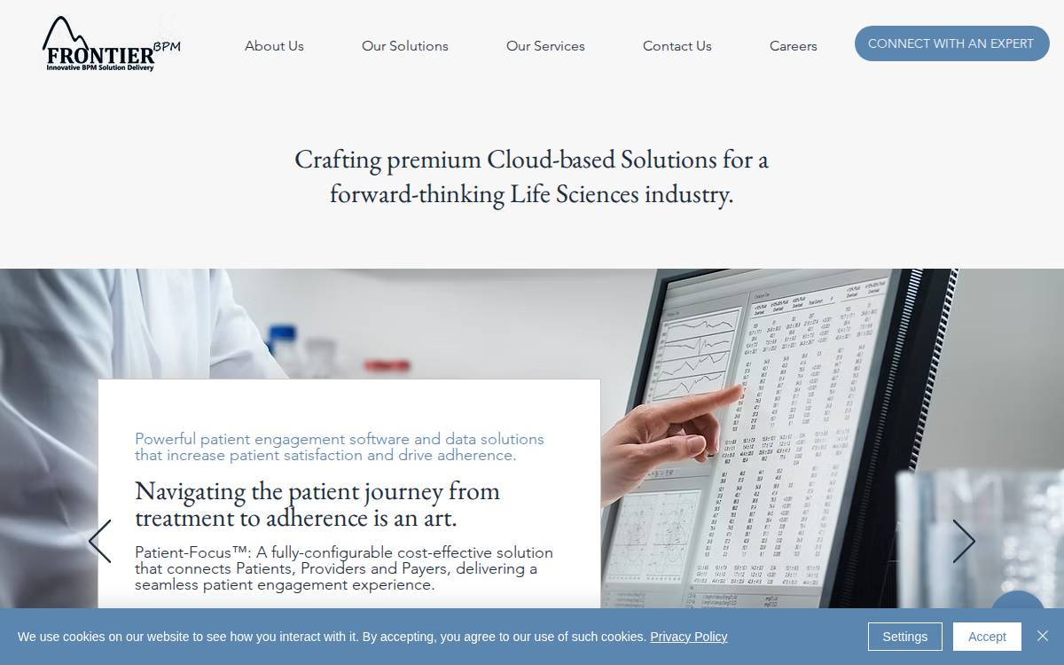 FrontierBPM website preview
