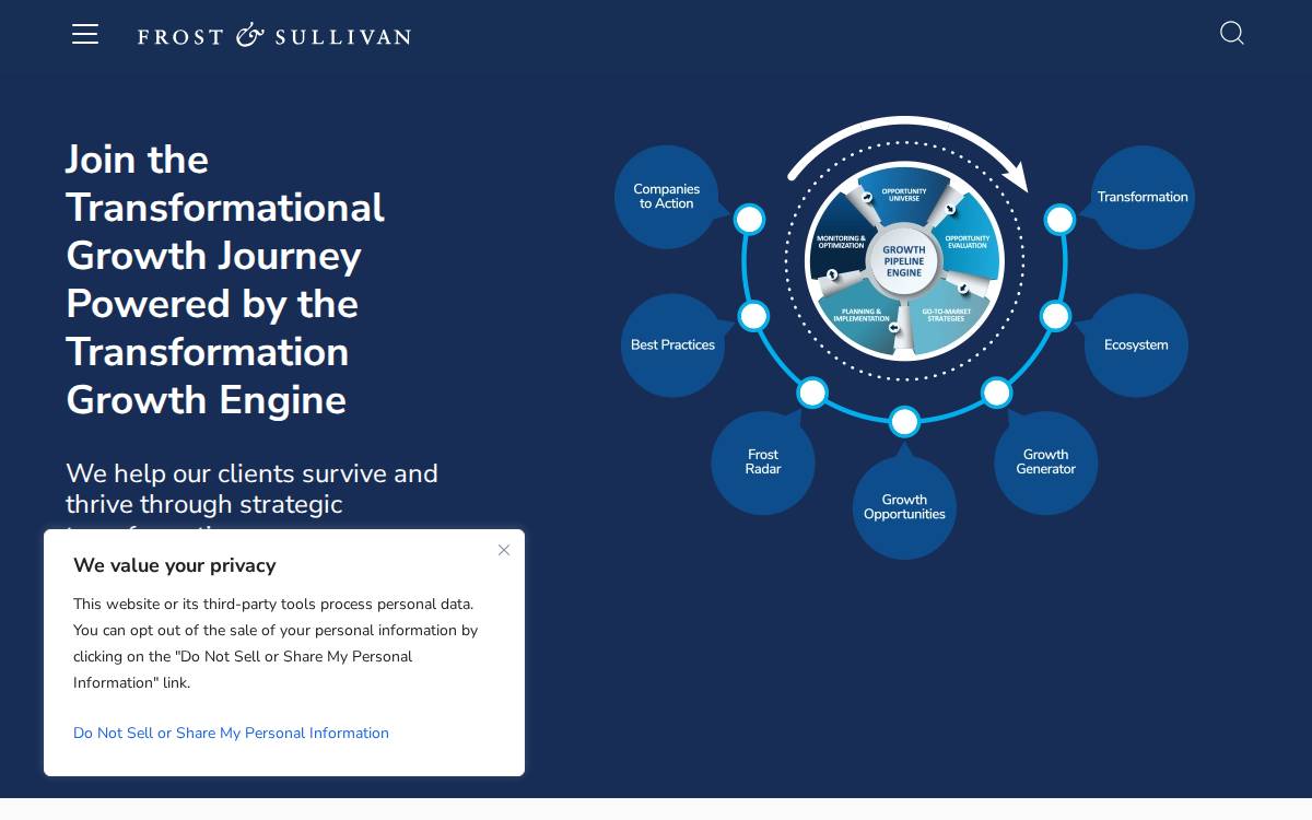 Frost & Sullivan website preview