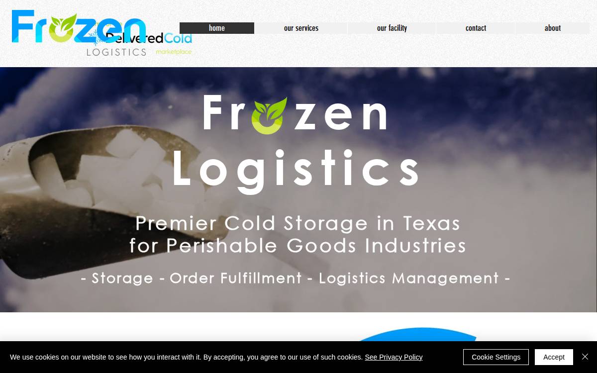 Frozen Logistics website preview