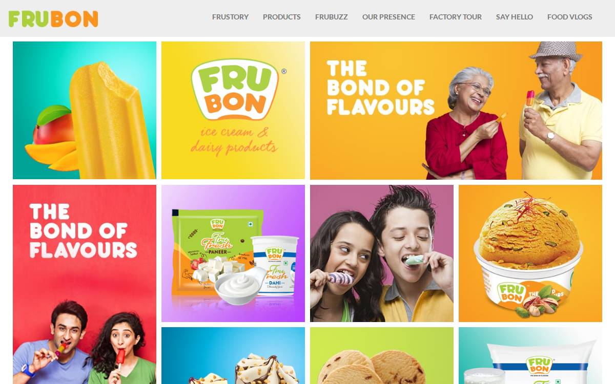 Frubon website preview