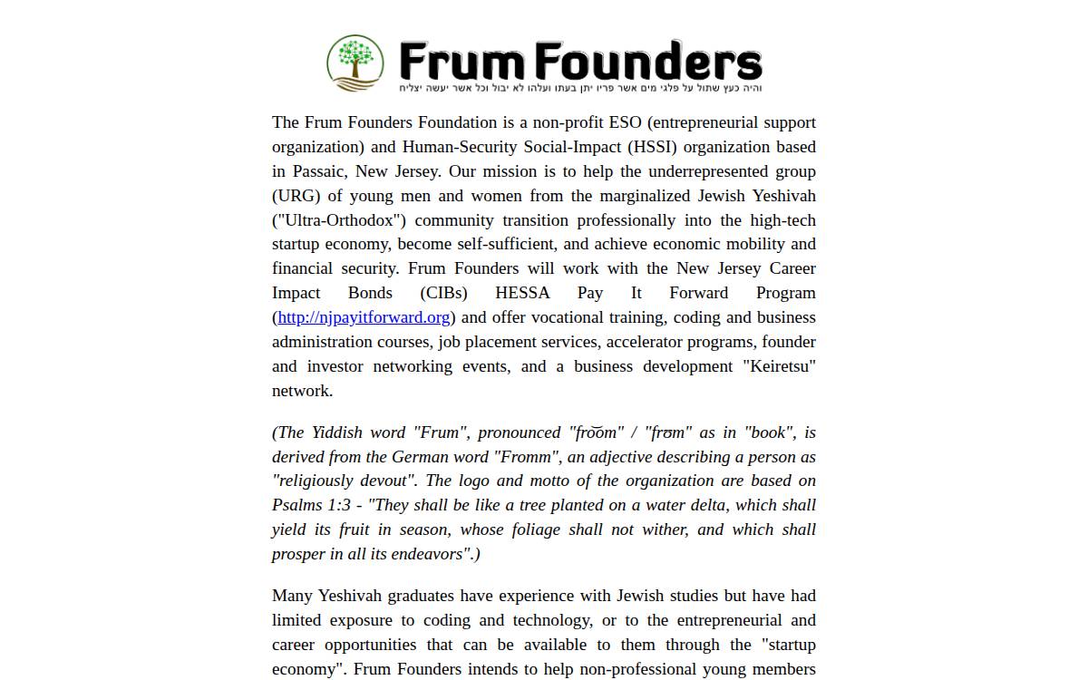 Frumfounders website preview