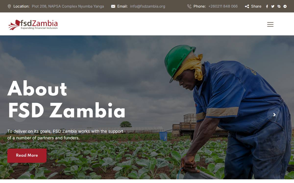 FSD Zambia website preview