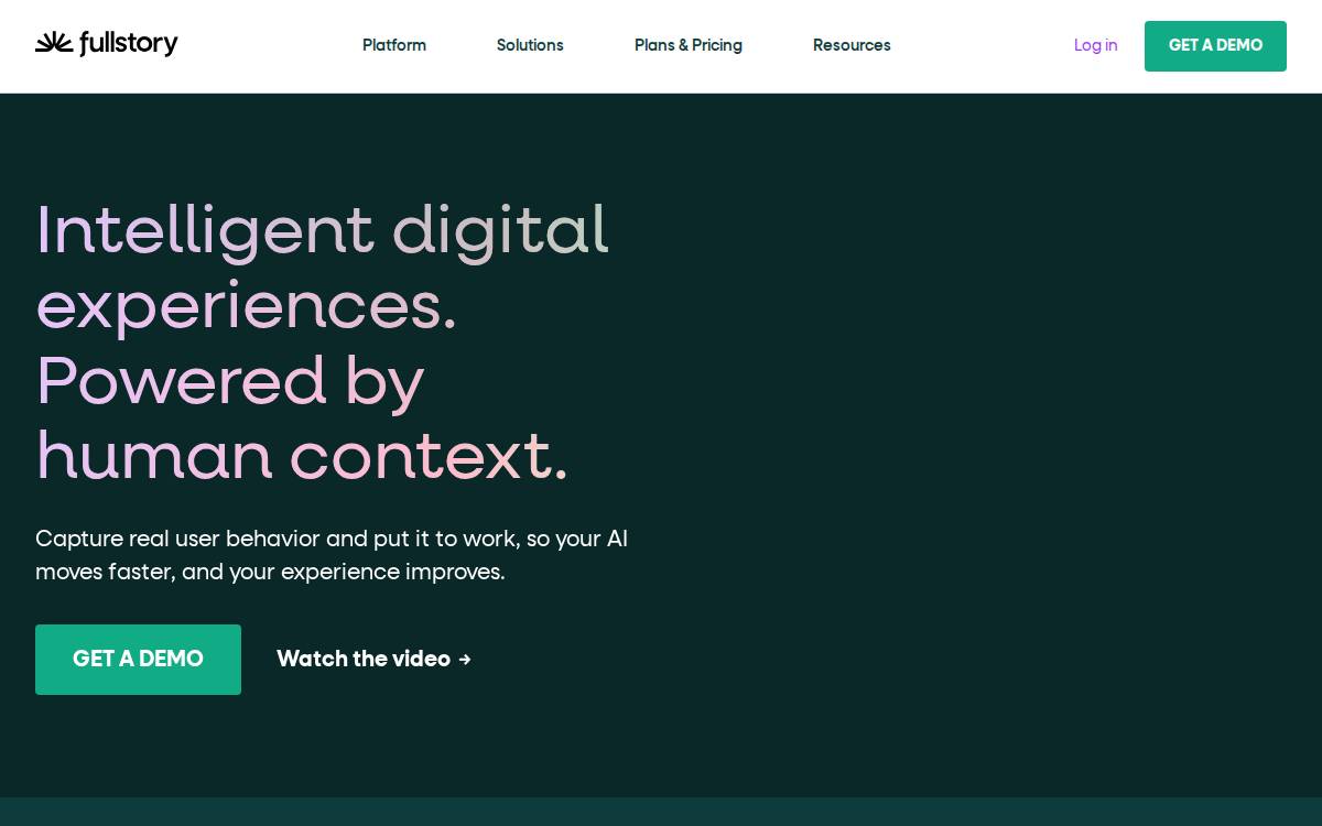 FullStory website preview