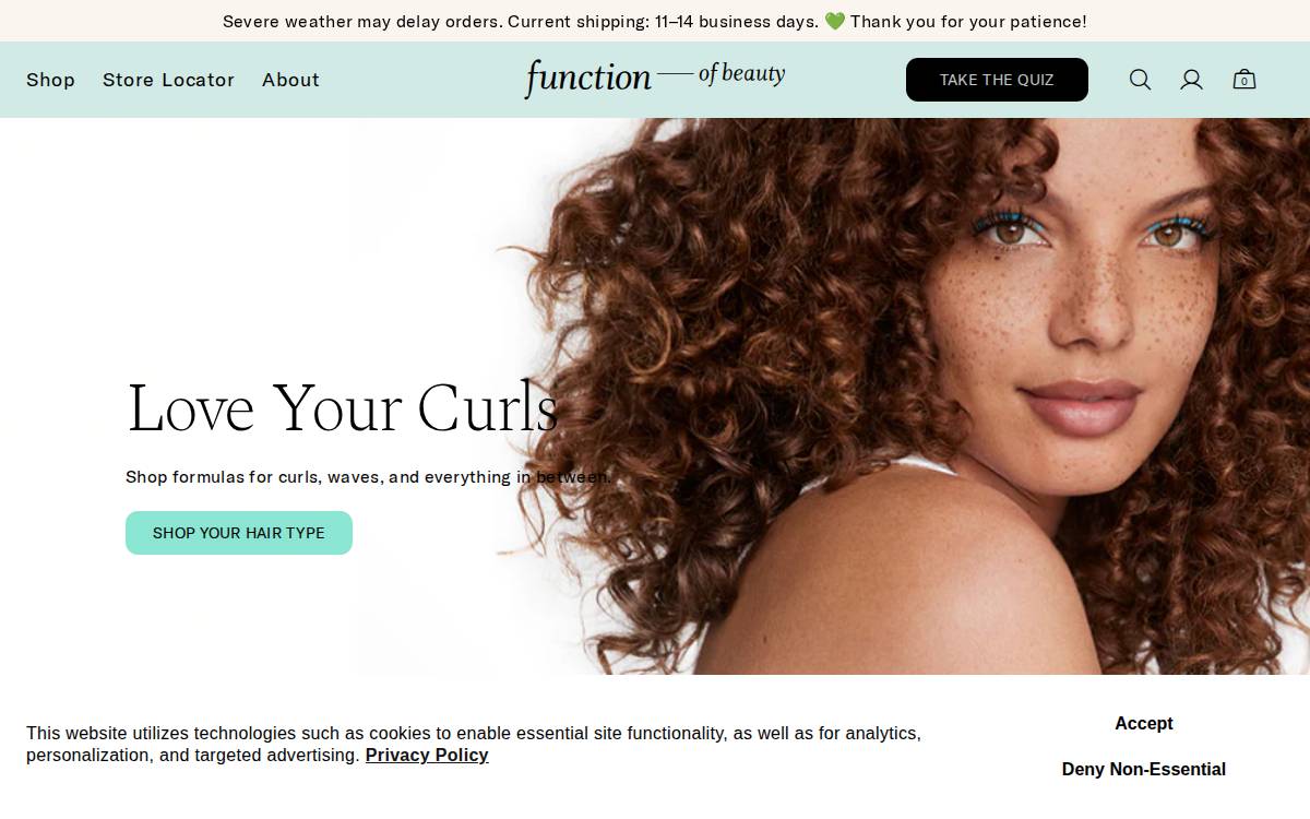 Function of Beauty website preview