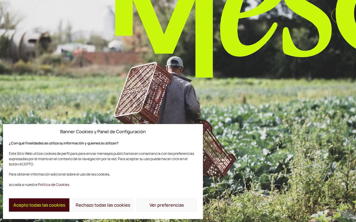 Fundació Ciutadania Multicultural website preview