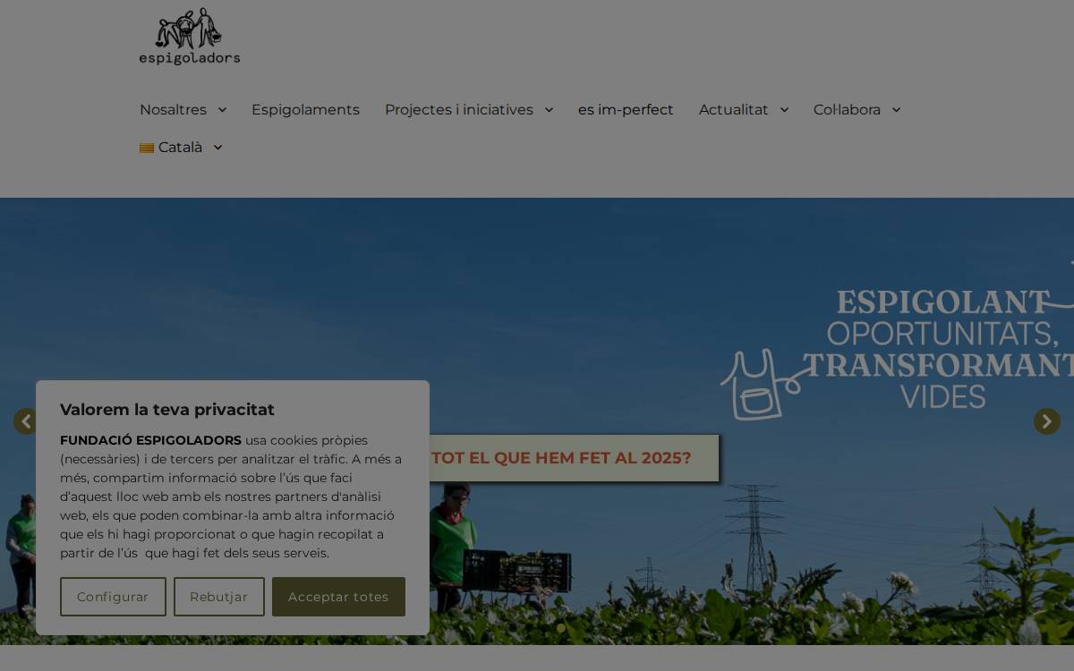 FUNDACIÓ ESPIGOLADORS website preview