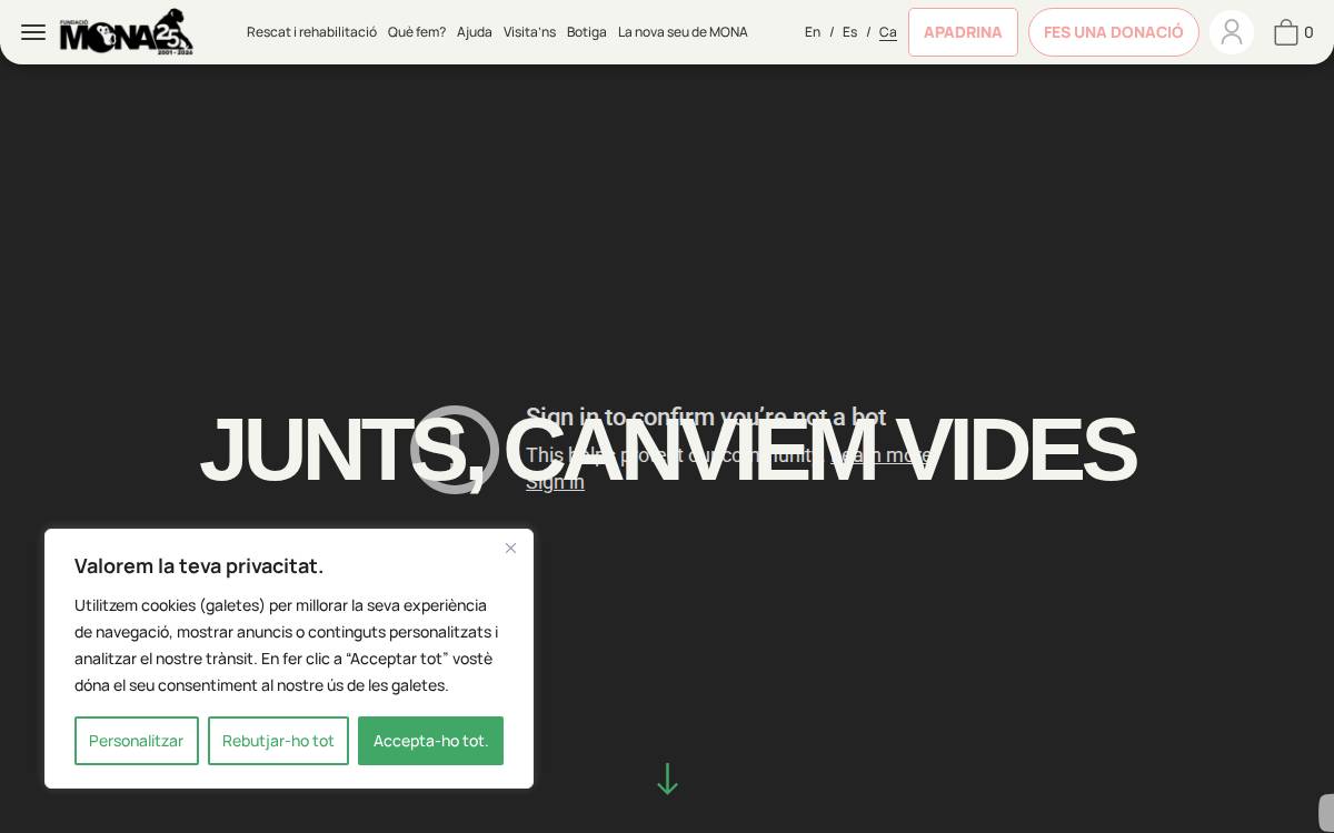 Fundació Mona website preview