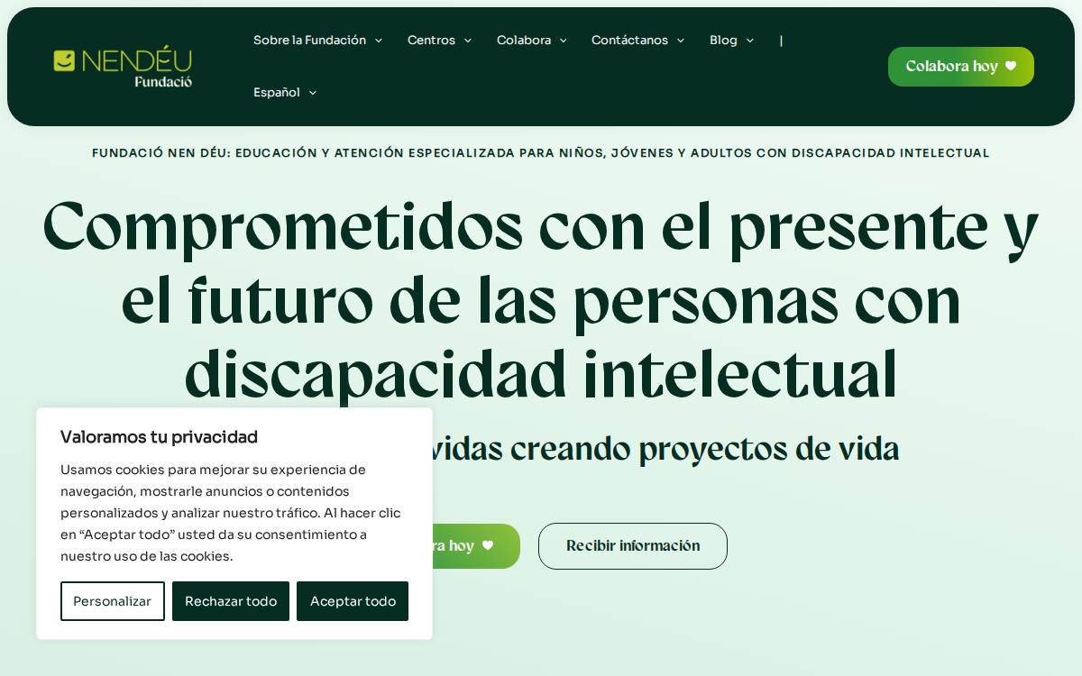 Fundació Nen Déu website preview