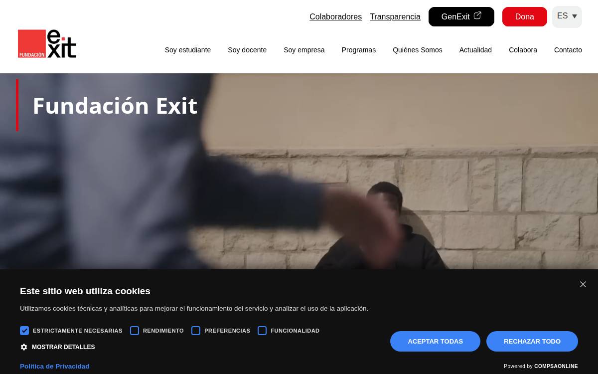 Fundación Exit website preview