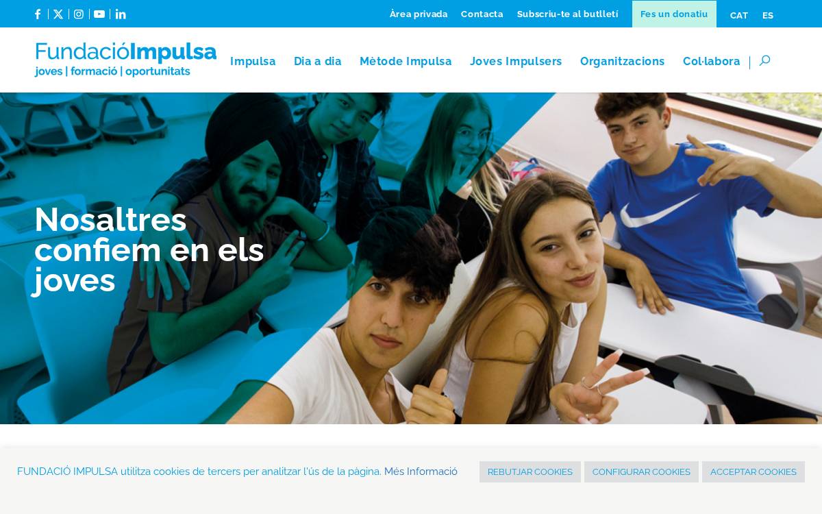 Fundación Impulsa website preview