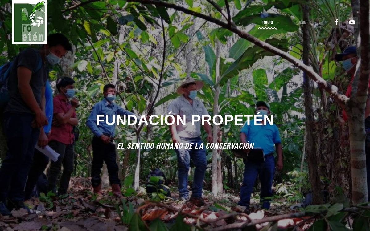 Fundacion ProPetén website preview