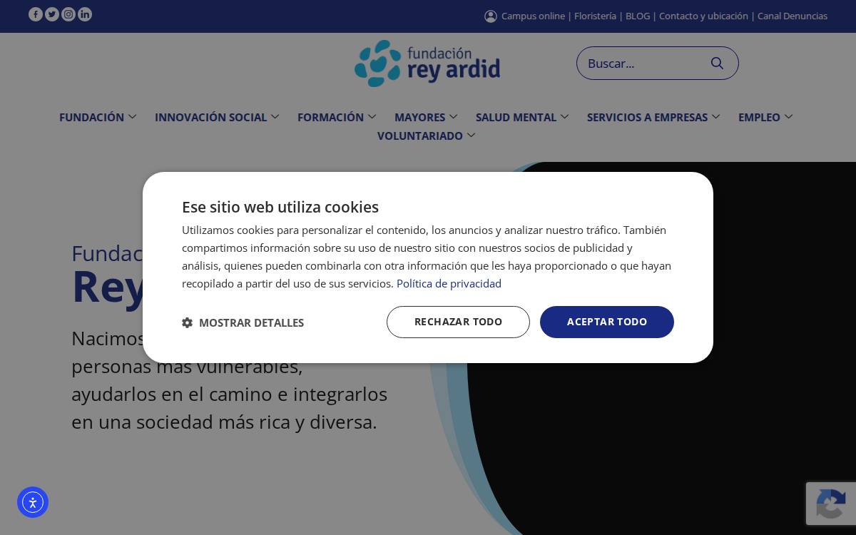 Fundación Rey Ardid website preview